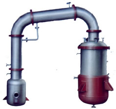 91视频免费在线看