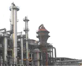 91视频免费在线看